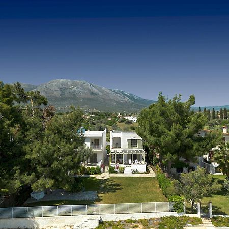 Marvelous Beach House Erétria Zewnętrze zdjęcie